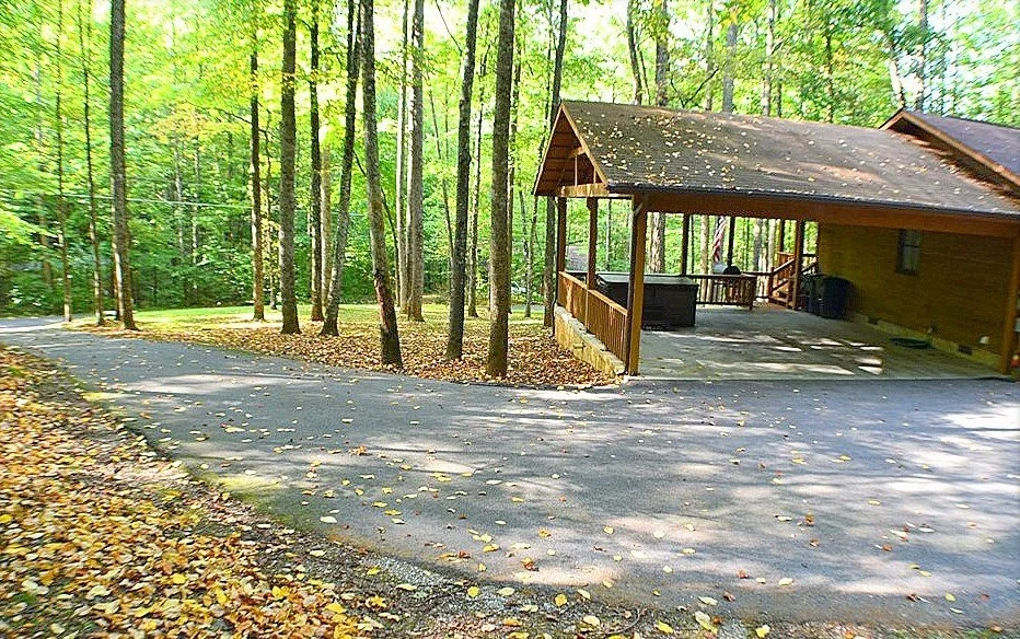 Cant Wait to Hibernate - Photo 4