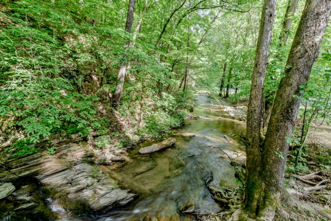 Creekside - Photo 4