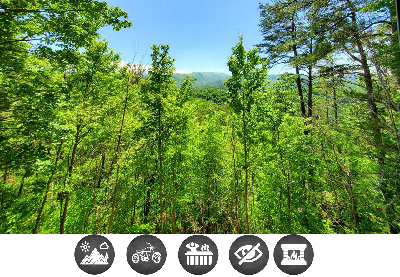 Mountain Ridge - Main Photo