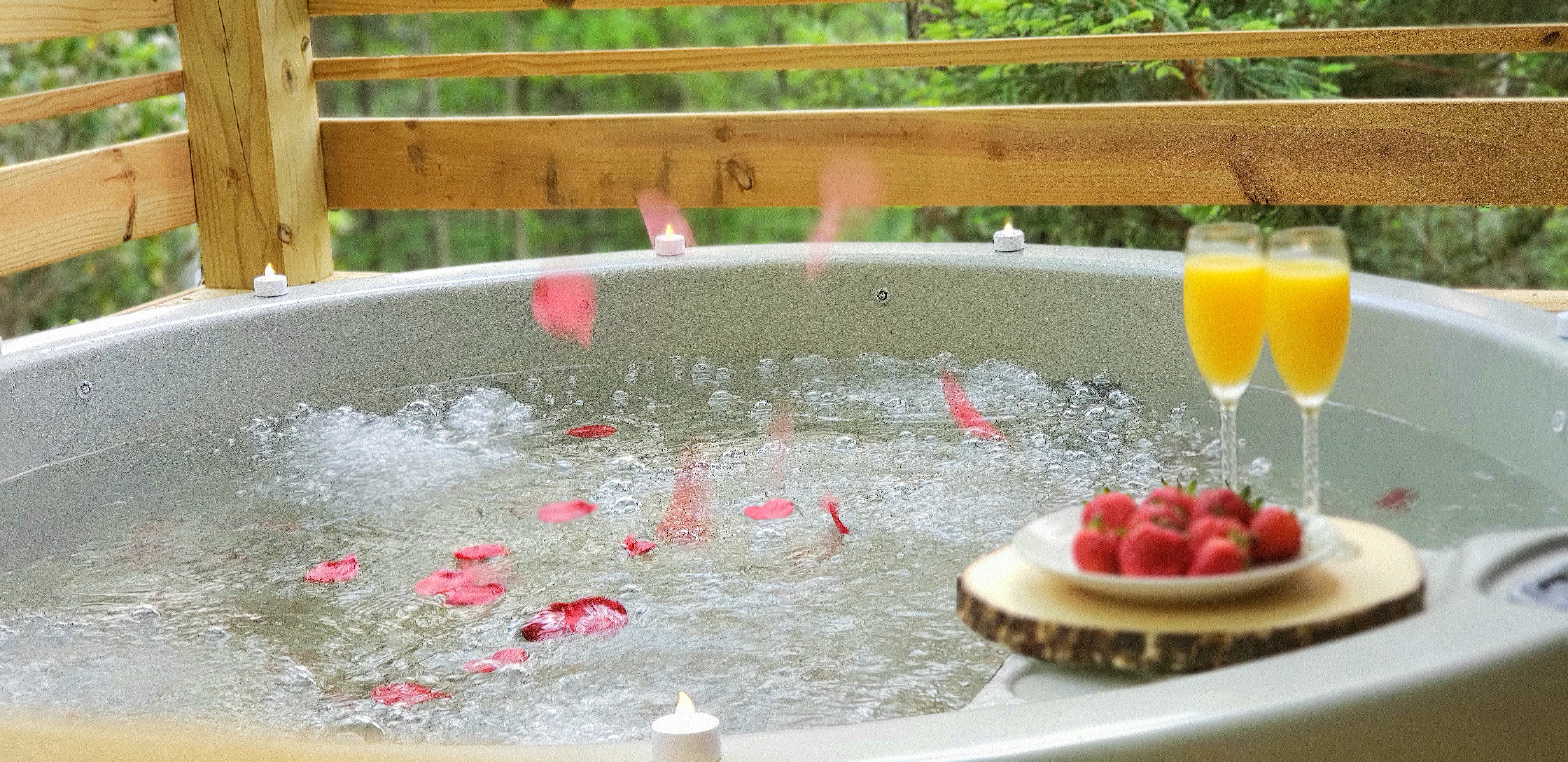 Happy Camper - Photo 2