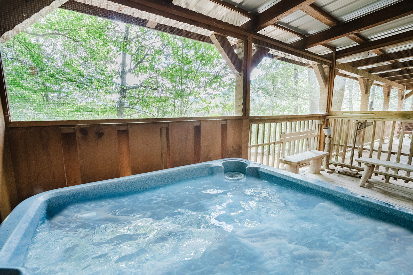 Big Kahuna Lodge - Photo 2