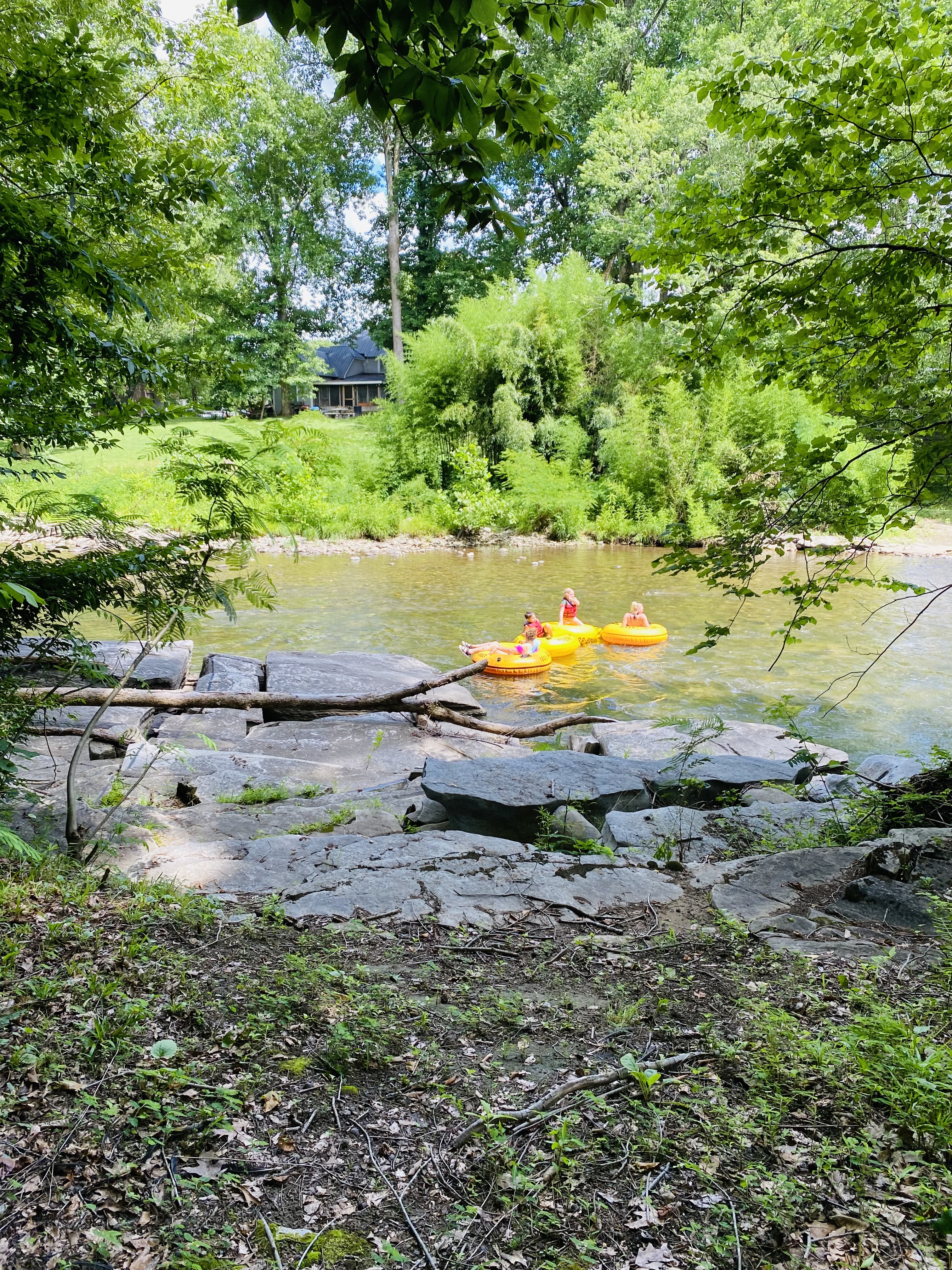 Riverview - Photo 2