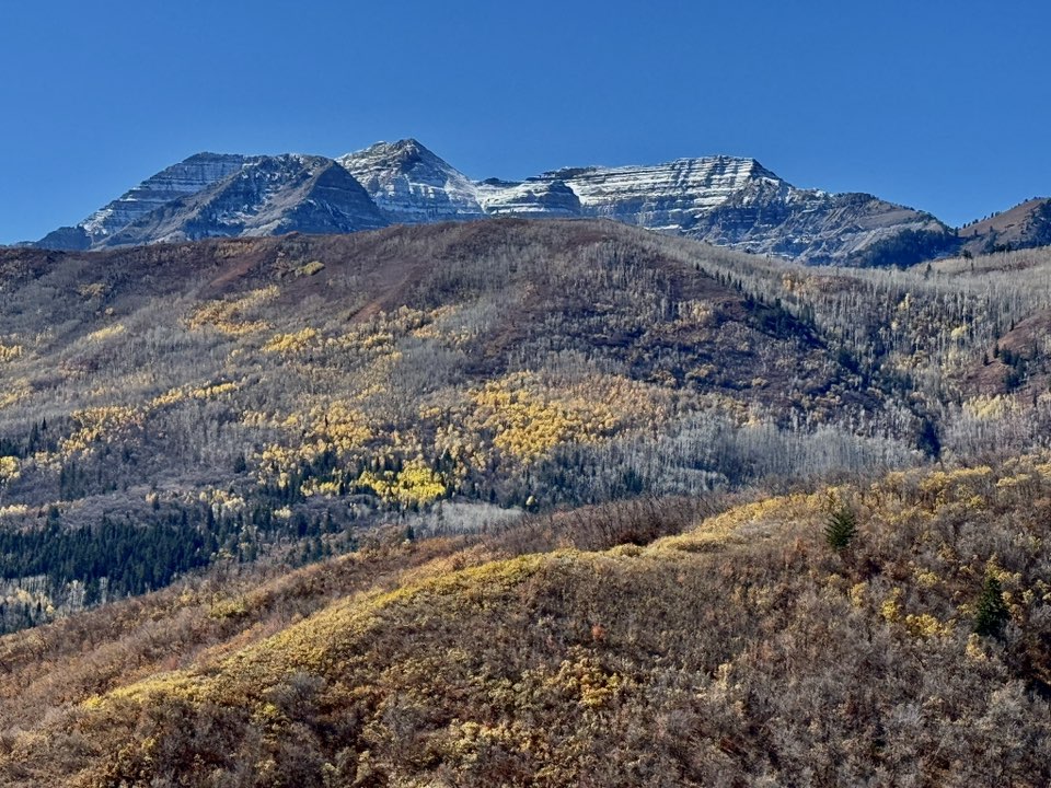 A stylized map of Wasatch County.