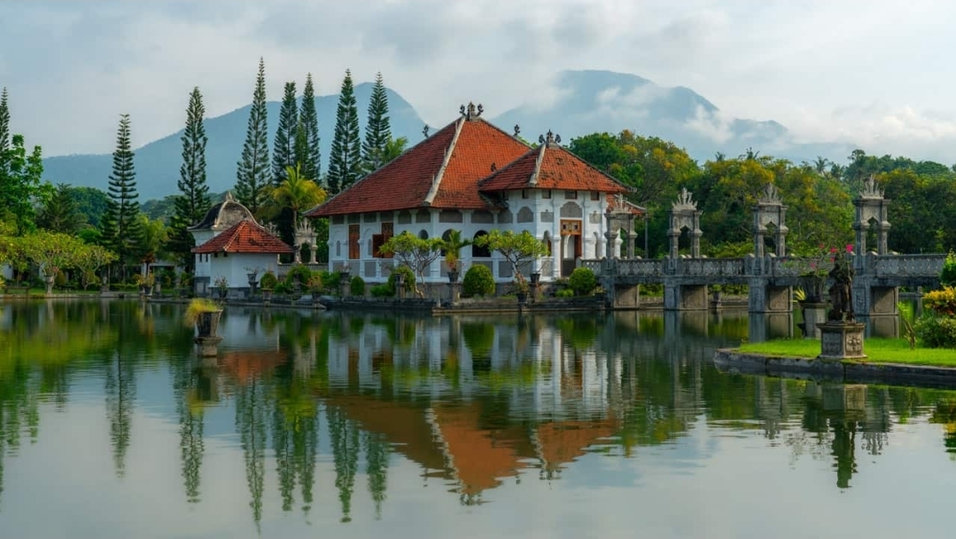 View of the ocean from The Secret Garden property.