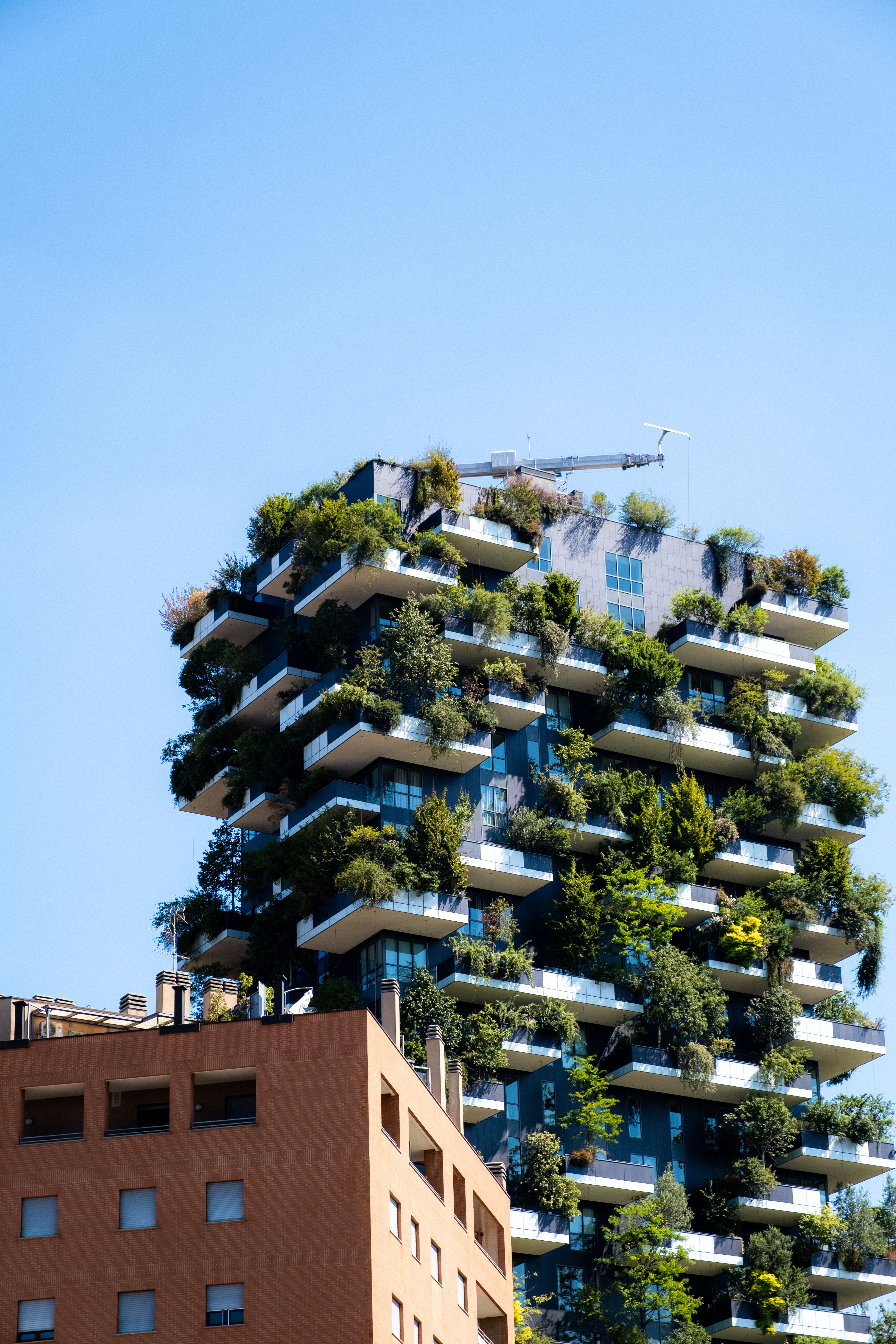 Sustainable Building Development