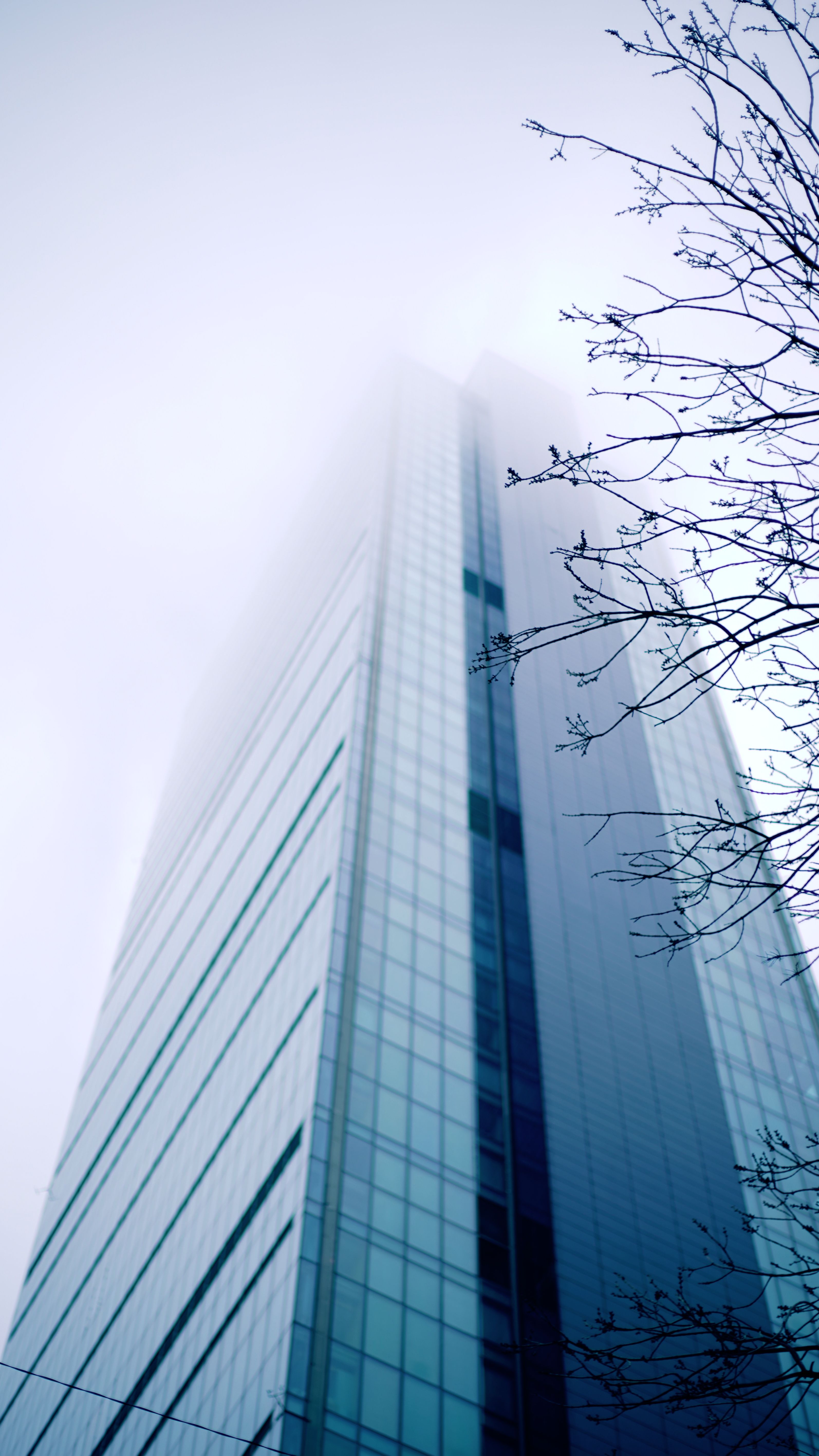 Business Accounting Package