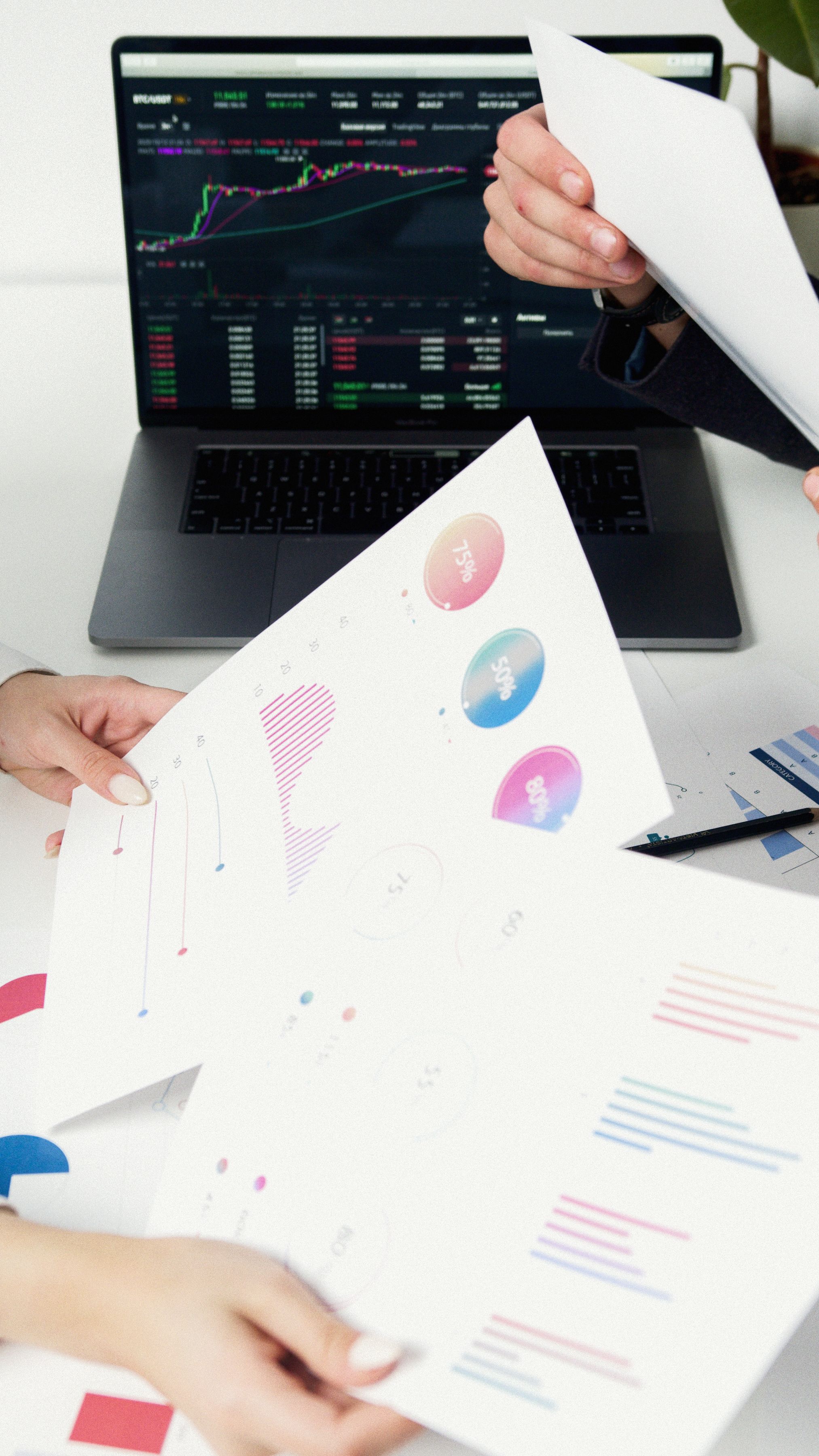 Executive Financial Report