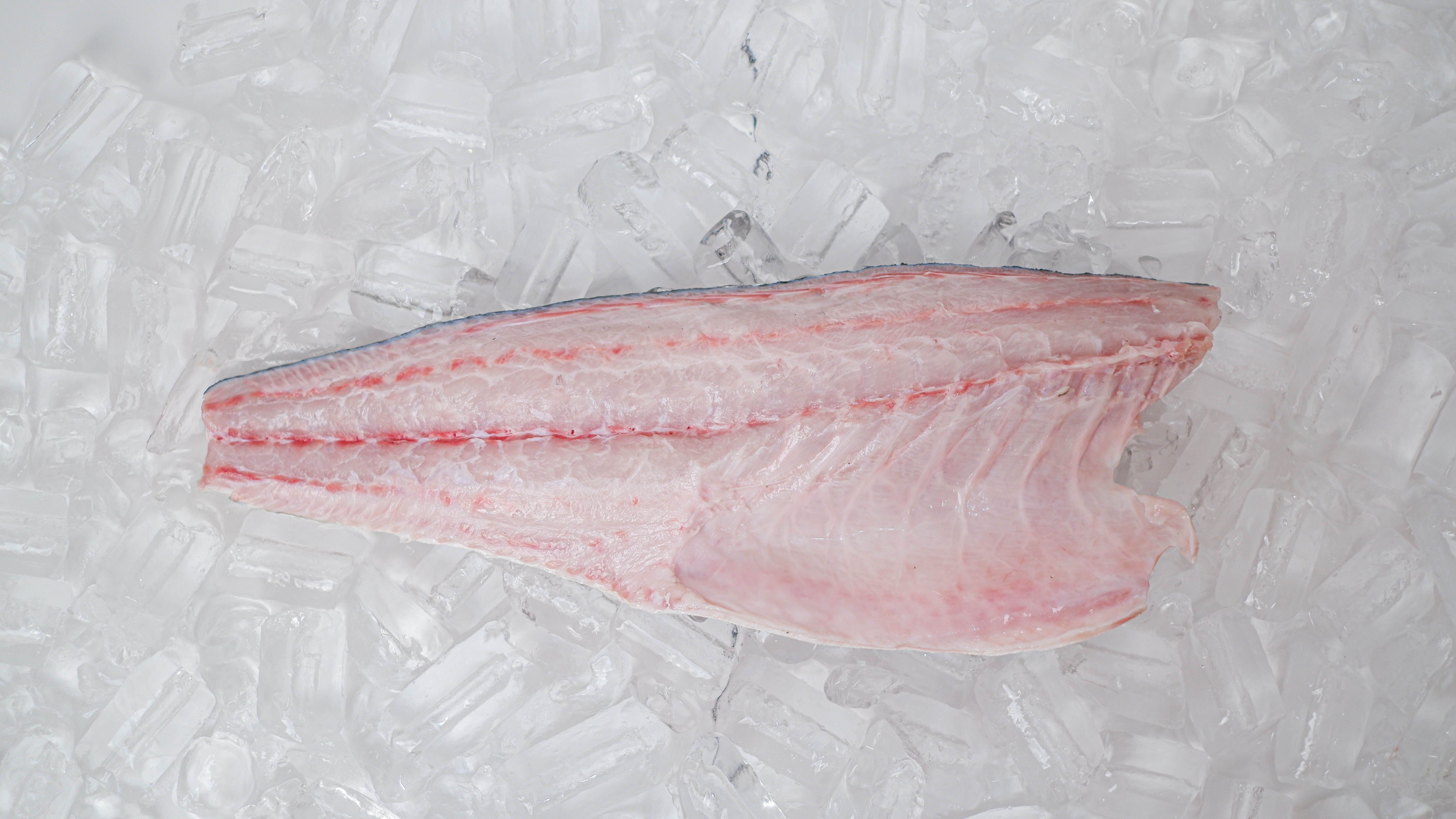 King Cobia whole fillet