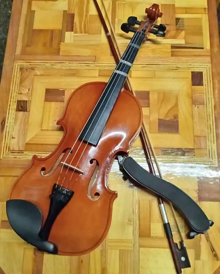 Violino Seminovo com Estojo miniatura 2