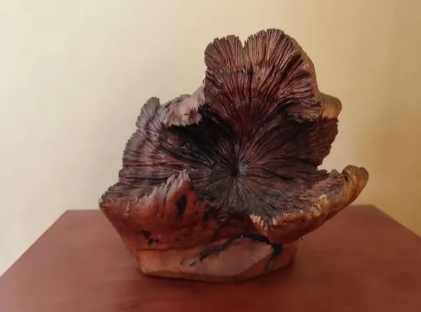 Escultura em madeira natural