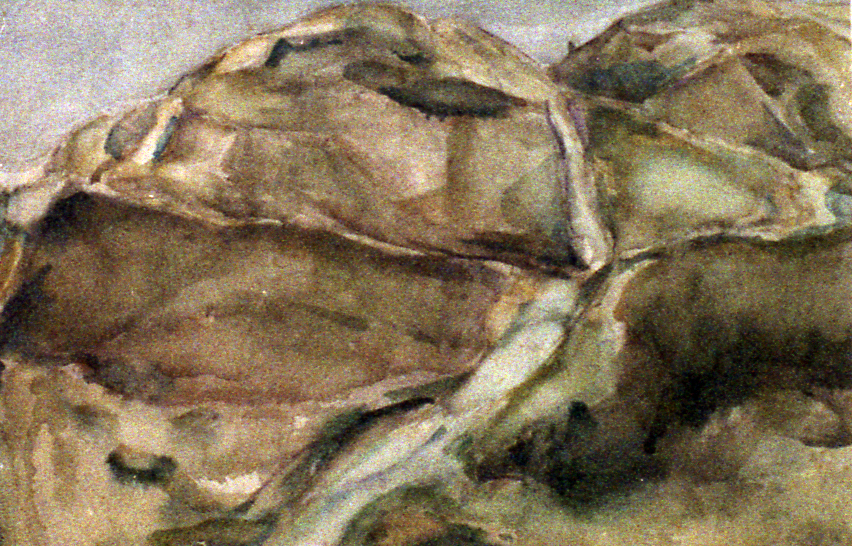 Duinen