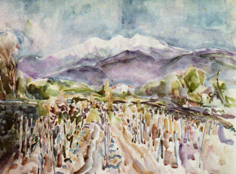 provence wijngaard