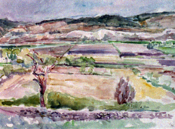 provence wijngaard