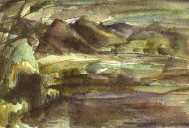 landschap