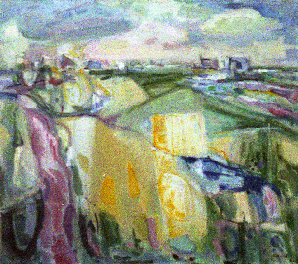 Zomerse polder