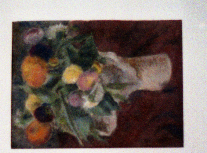 bloemen oprode ondergrond