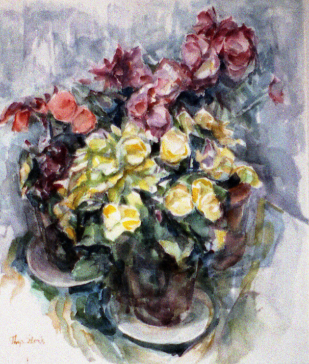 begonias-2