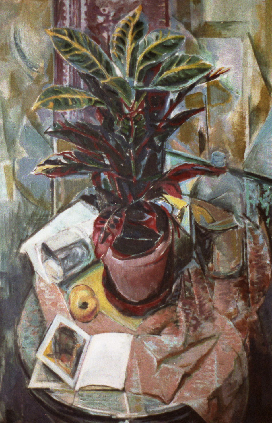 plant