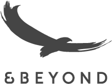 &Beyond Logo