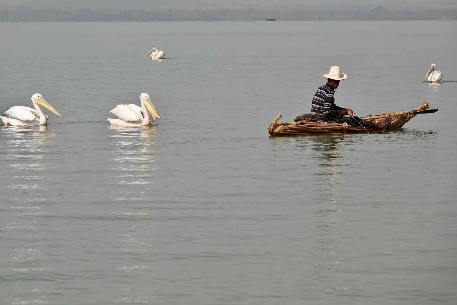 Lake Tana Waterfront