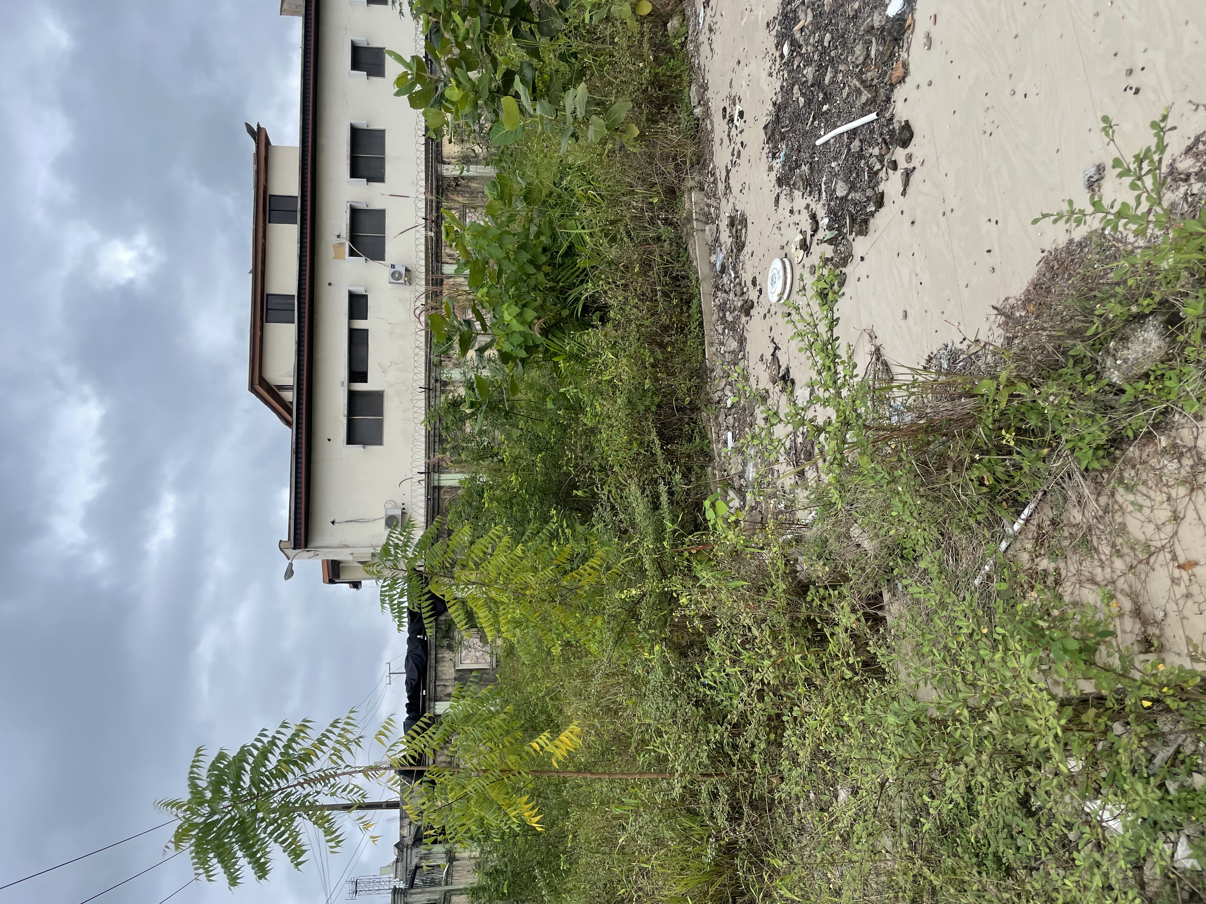 Land For Lease In Festac 6th Avenue.