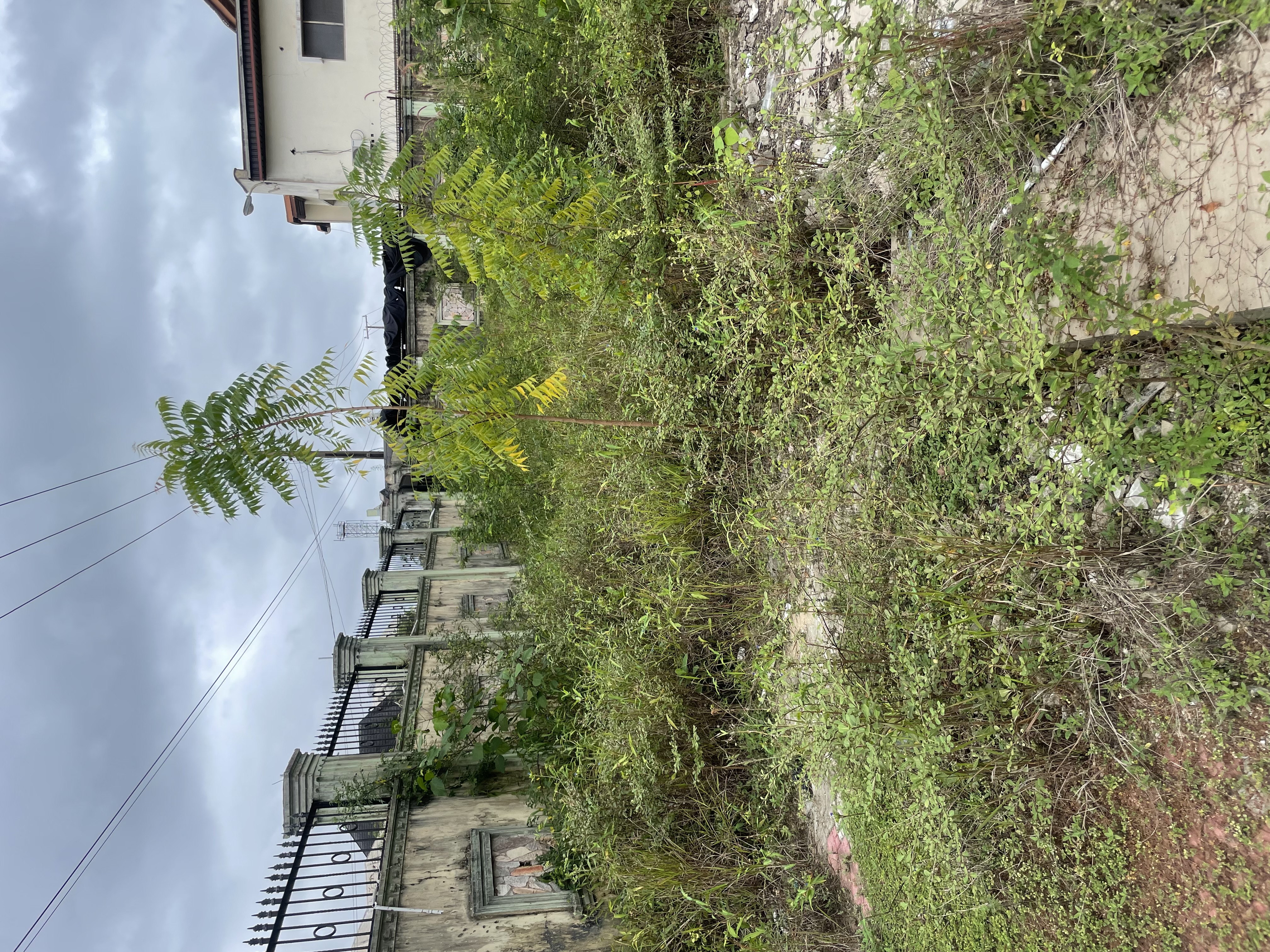 Land For Lease In Festac 6th Avenue.