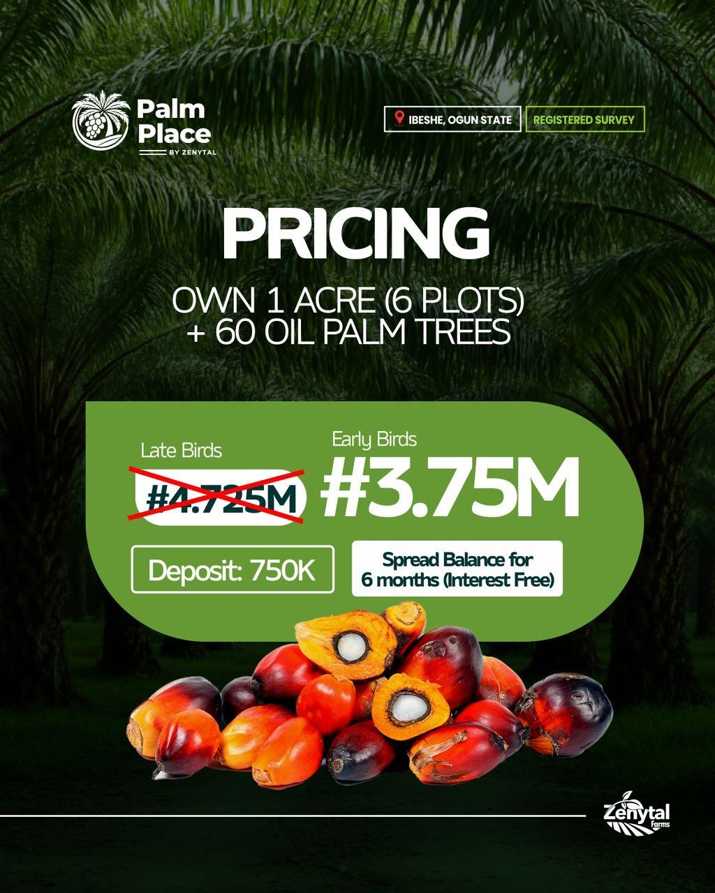 Turn Palm Trees Into Passive Income - Ibeshe, Ogun State