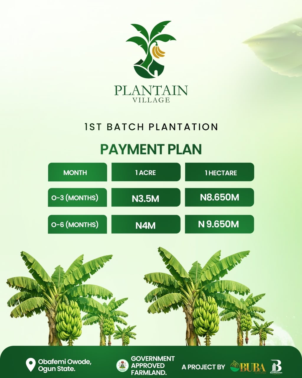 Traditional land banking asks you to lock your capital away and wait a decade just to see value.  Plantain Village changes the rules. You buy 1 acre for 3.5 million Naira, and in just 1 year, your investment starts generating a recurring annual return of 1 to 4 million Naira-for as long as the plantain keeps producing.   That's smart agro-real estate, Isn’t it??