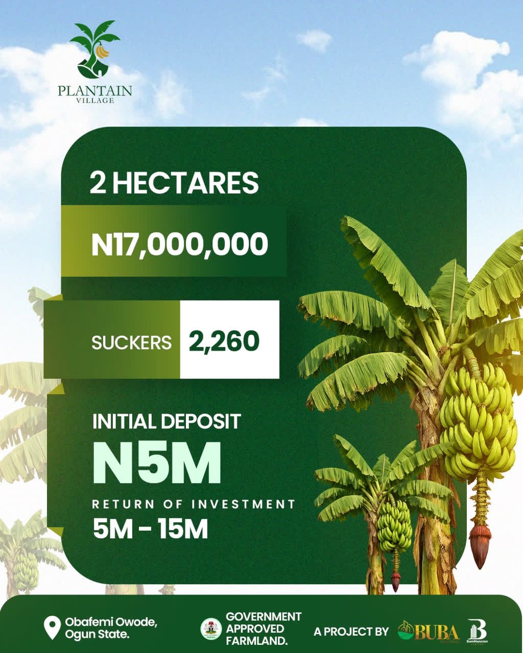 Traditional land banking asks you to lock your capital away and wait a decade just to see value.  Plantain Village changes the rules. You buy 1 acre for 3.5 million Naira, and in just 1 year, your investment starts generating a recurring annual return of 1 to 4 million Naira-for as long as the plantain keeps producing.   That's smart agro-real estate, Isn’t it??