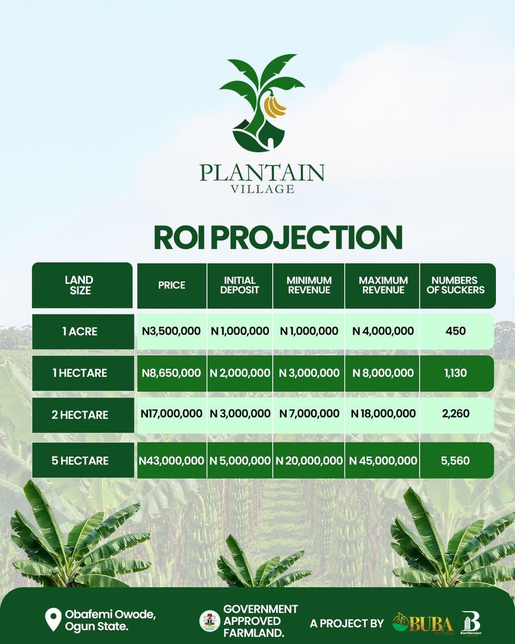 Traditional land banking asks you to lock your capital away and wait a decade just to see value.  Plantain Village changes the rules. You buy 1 acre for 3.5 million Naira, and in just 1 year, your investment starts generating a recurring annual return of 1 to 4 million Naira-for as long as the plantain keeps producing.   That's smart agro-real estate, Isn’t it??