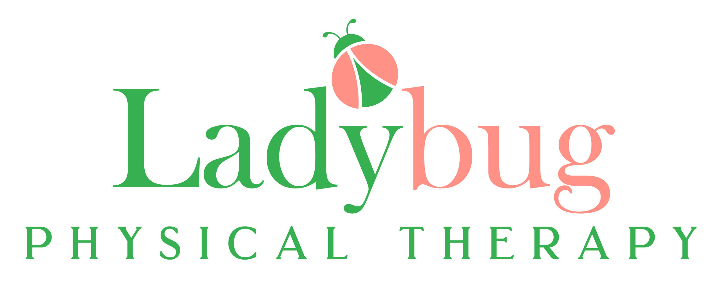 Ladybug Physical Therapy PLLC health and wellness hero image