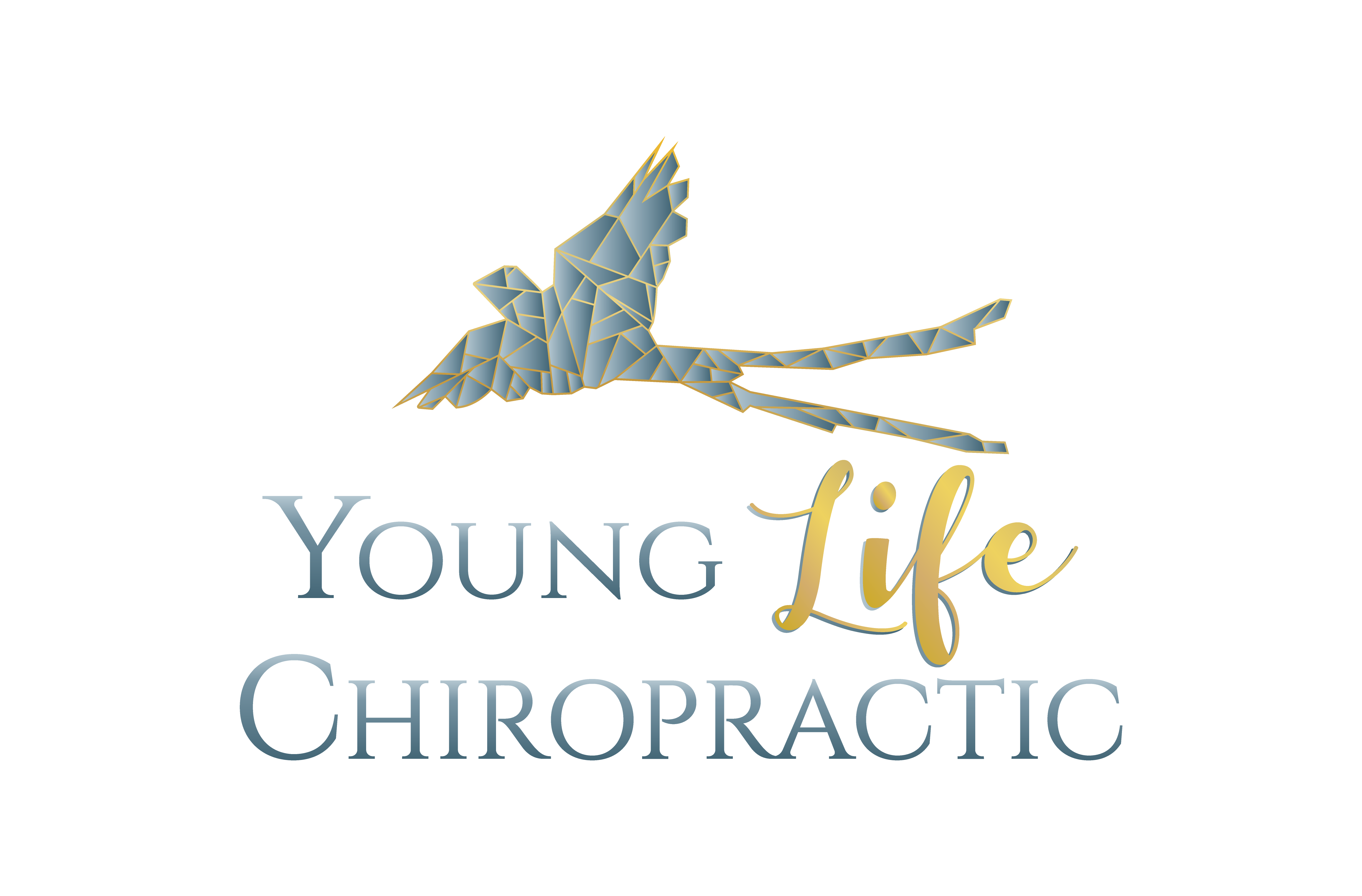 Young Life Chiropractic logo