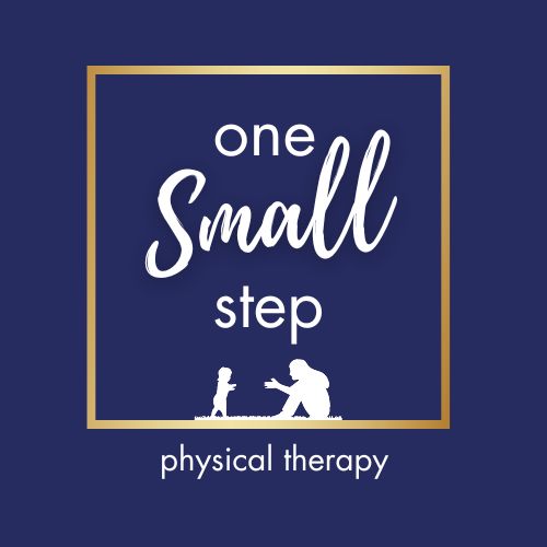 One Small Step Physical Therapy logo
