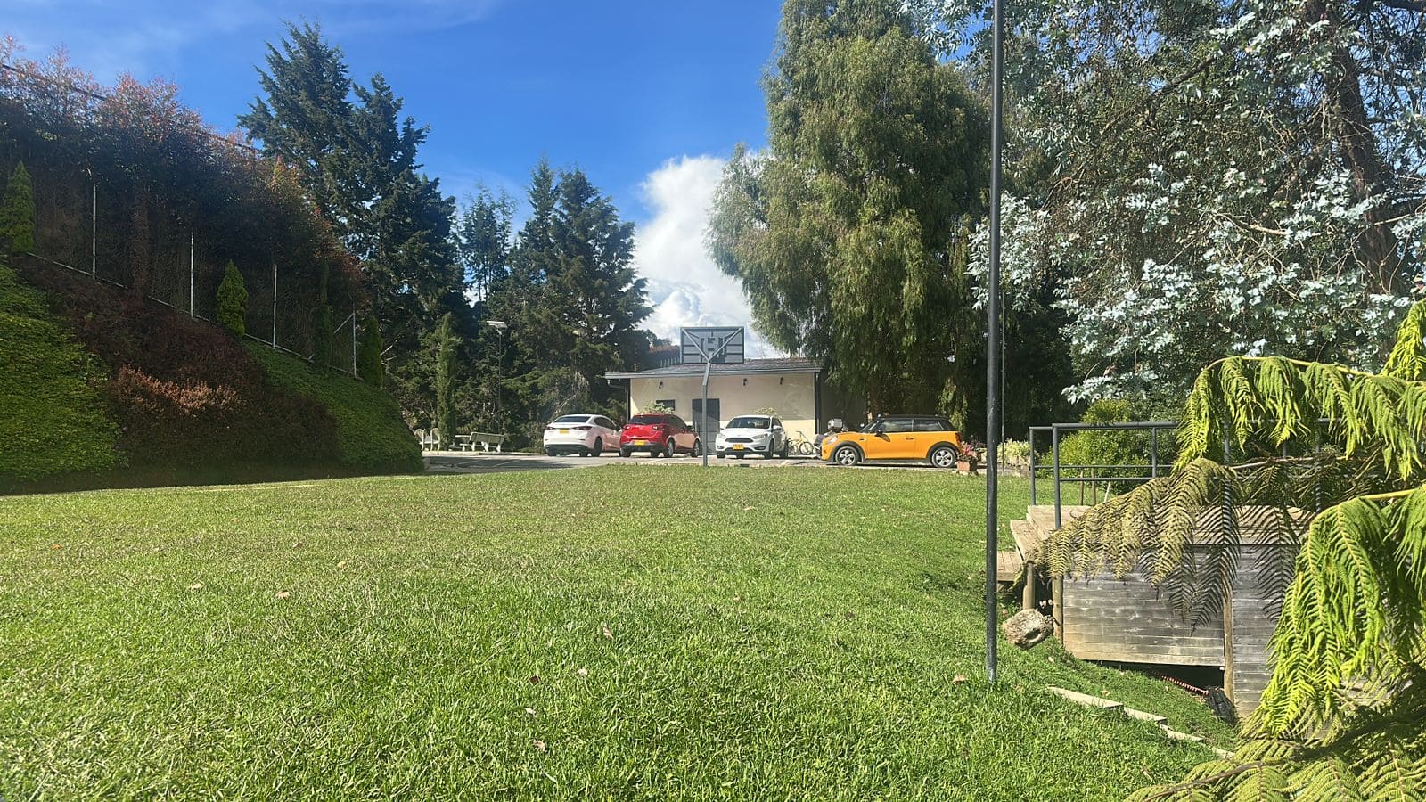 Alto de las Palmas - foto 3