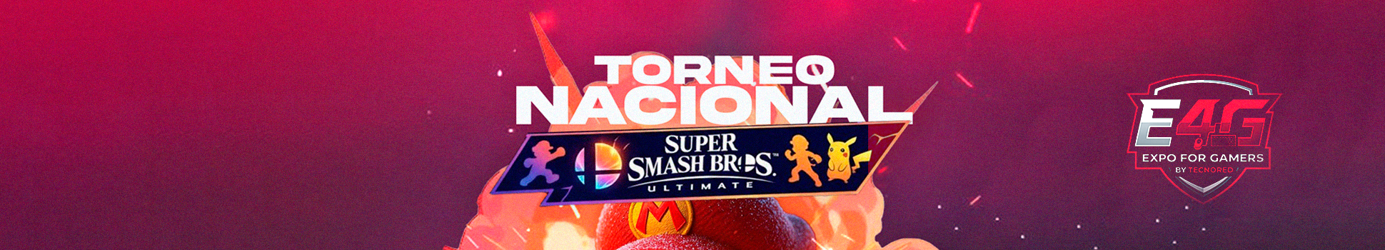 E4G Smash Ultimate Tecnored