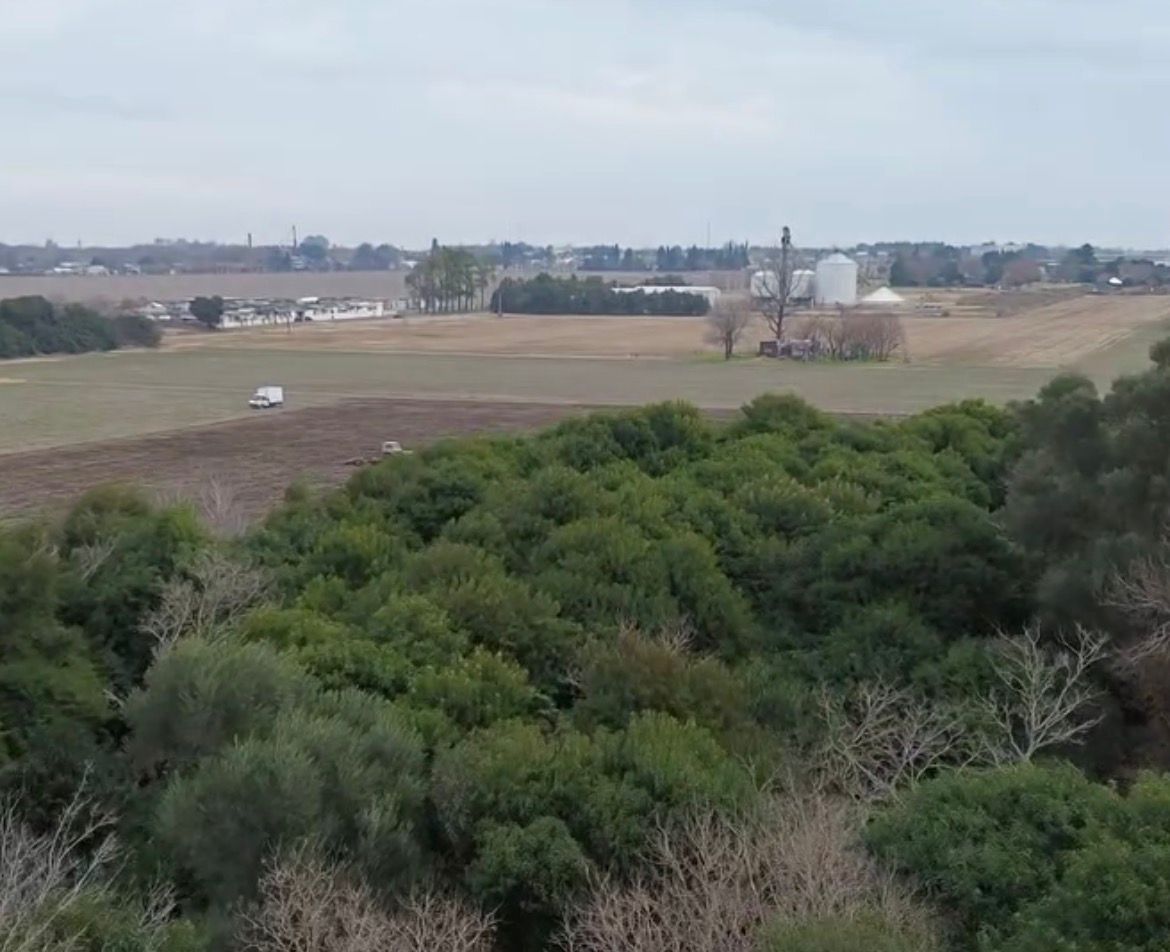 Imagen de El Potrero Alvarez 3