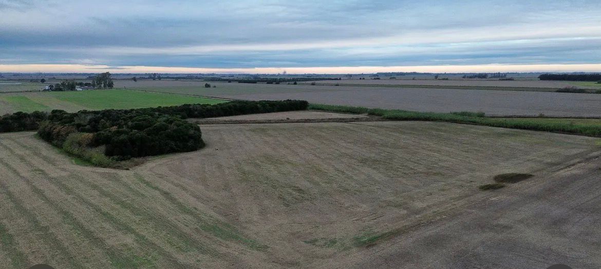 Imagen de El Potrero Alvarez 5