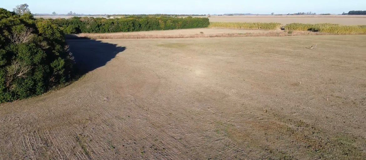 Imagen de El Potrero Alvarez 8