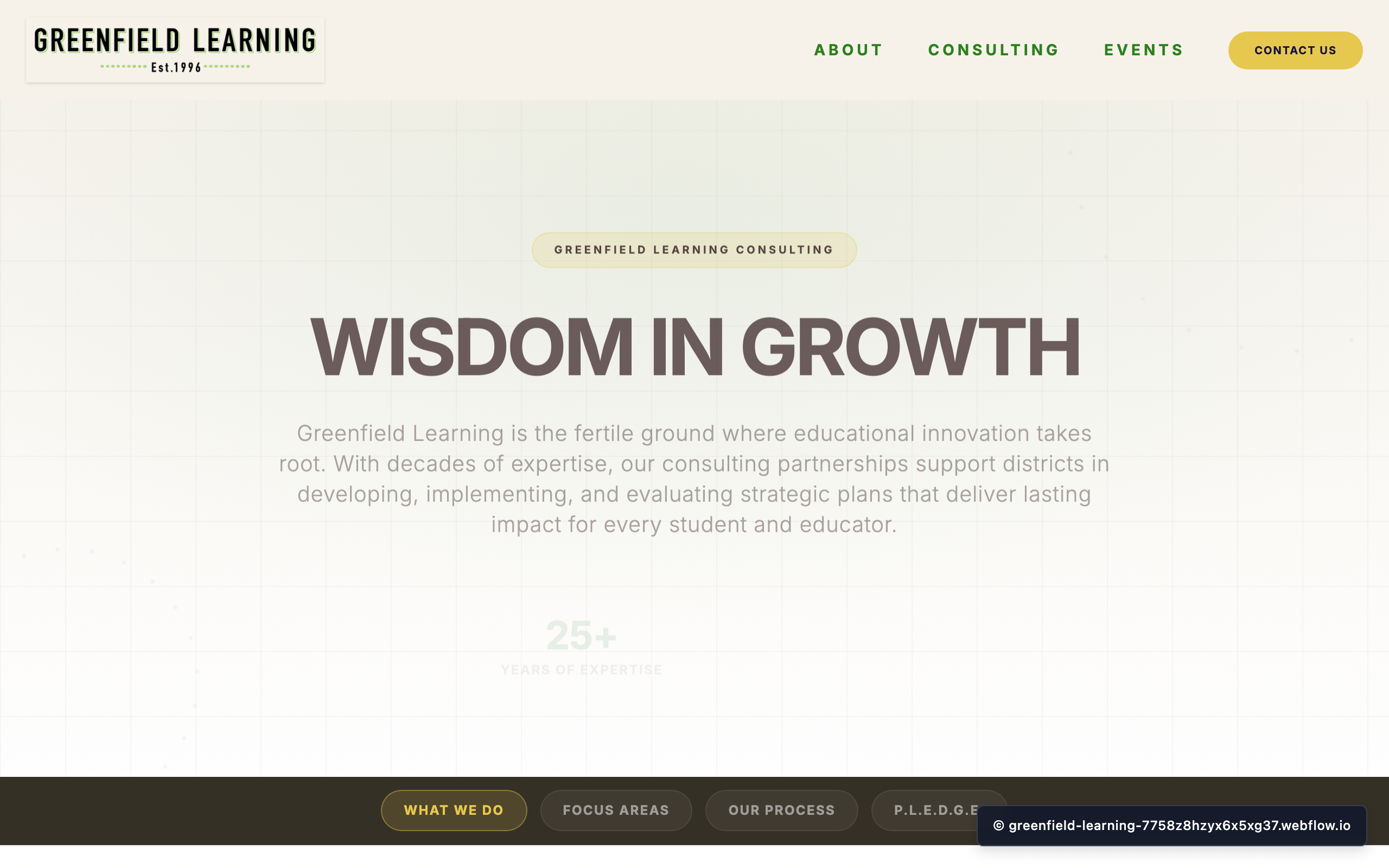 Consulting View