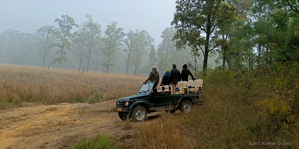 Satpura Tiger Reserve Walking Safari