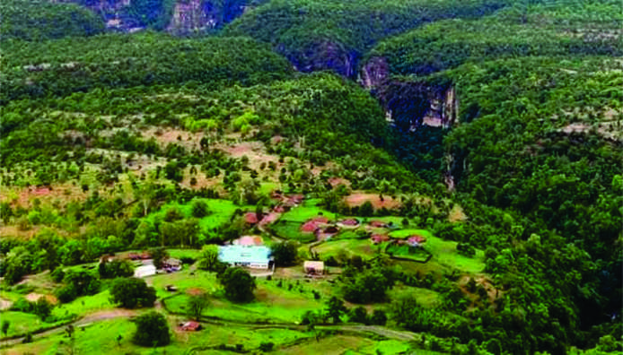 Tribal Village Homestay Experience in Patalkot Valley