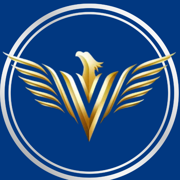 V'Data circular logo for hero slides