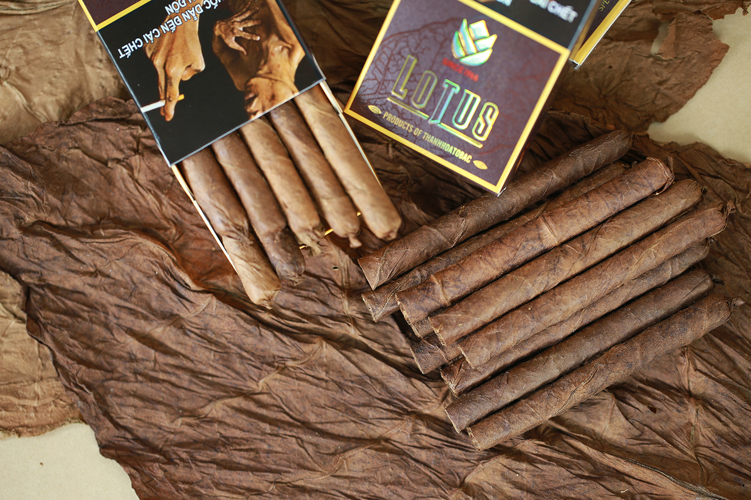 Cigar Lotus Club  - ảnh 2