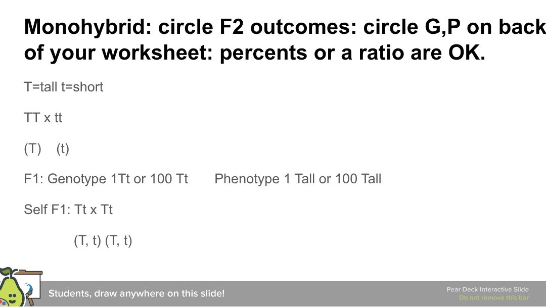 PDF page 3