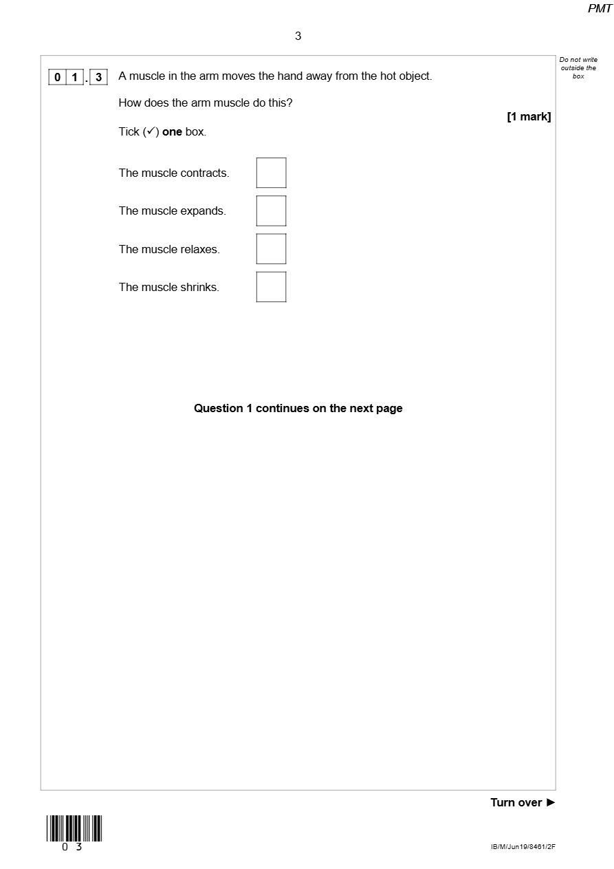 PDF page 3