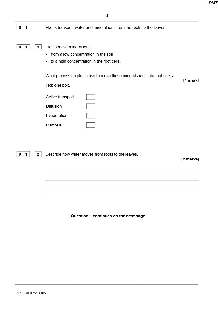 PDF page 3