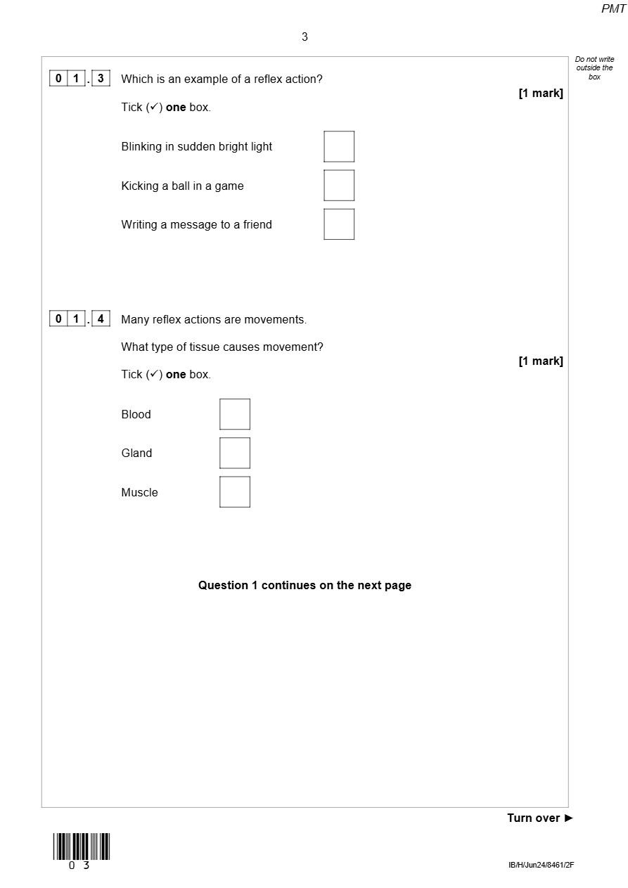 PDF page 3