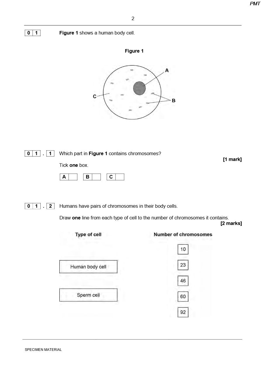 PDF page 2