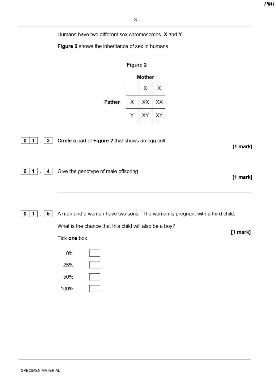 PDF page 3
