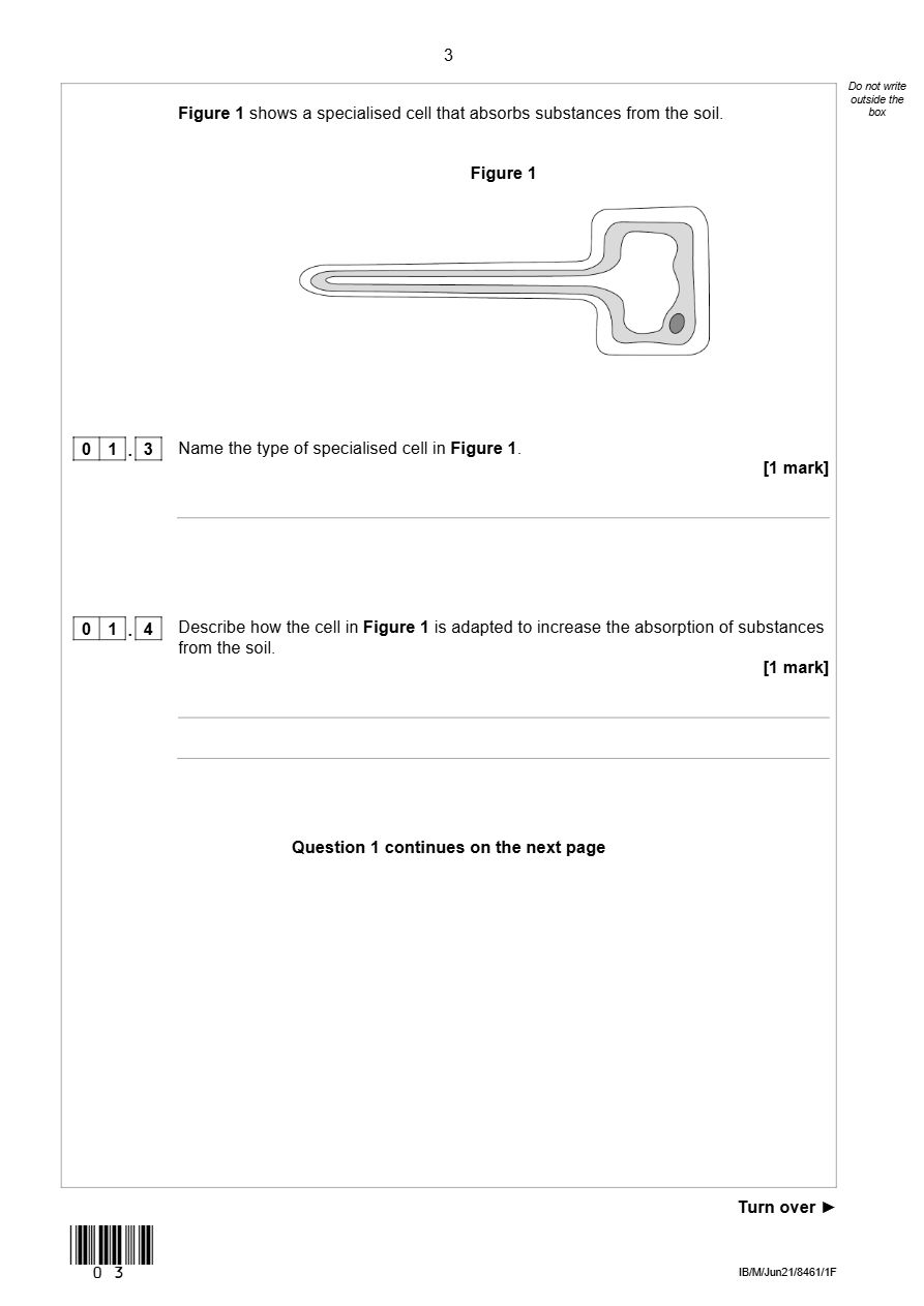 PDF page 3